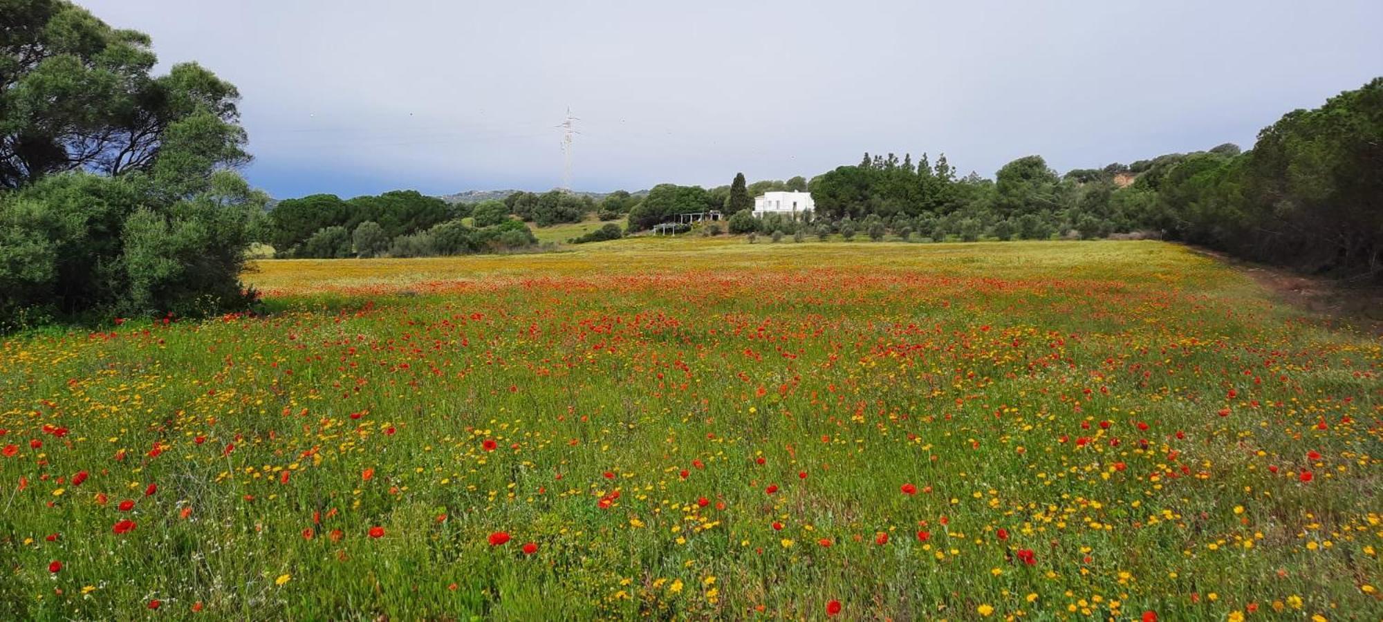 Agreen Country House Ольбия Экстерьер фото